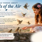 Bible Verses About Birds of the Air