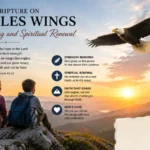 Bible verses about sparrows and God's care